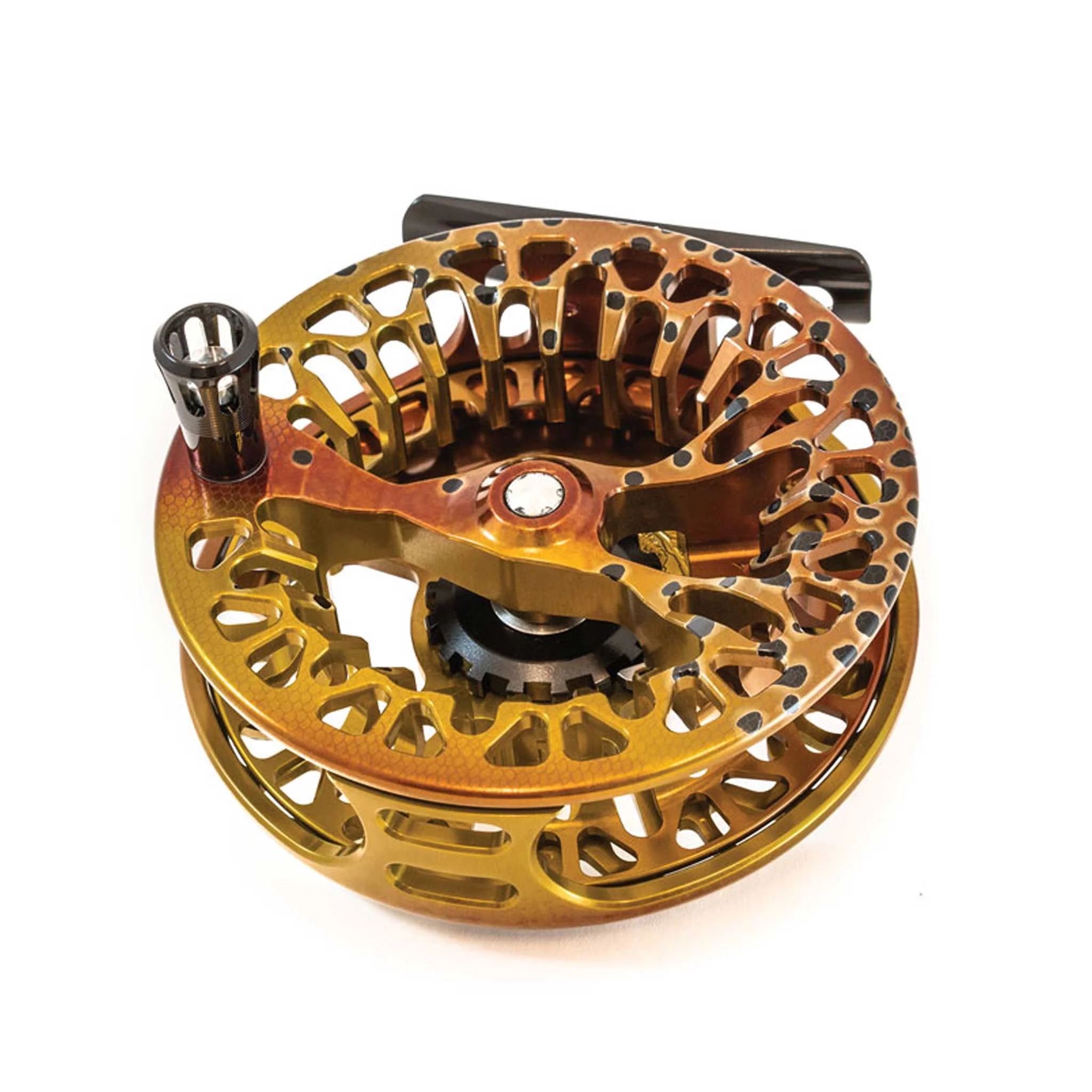 Abel Vaya Reel - Image 4