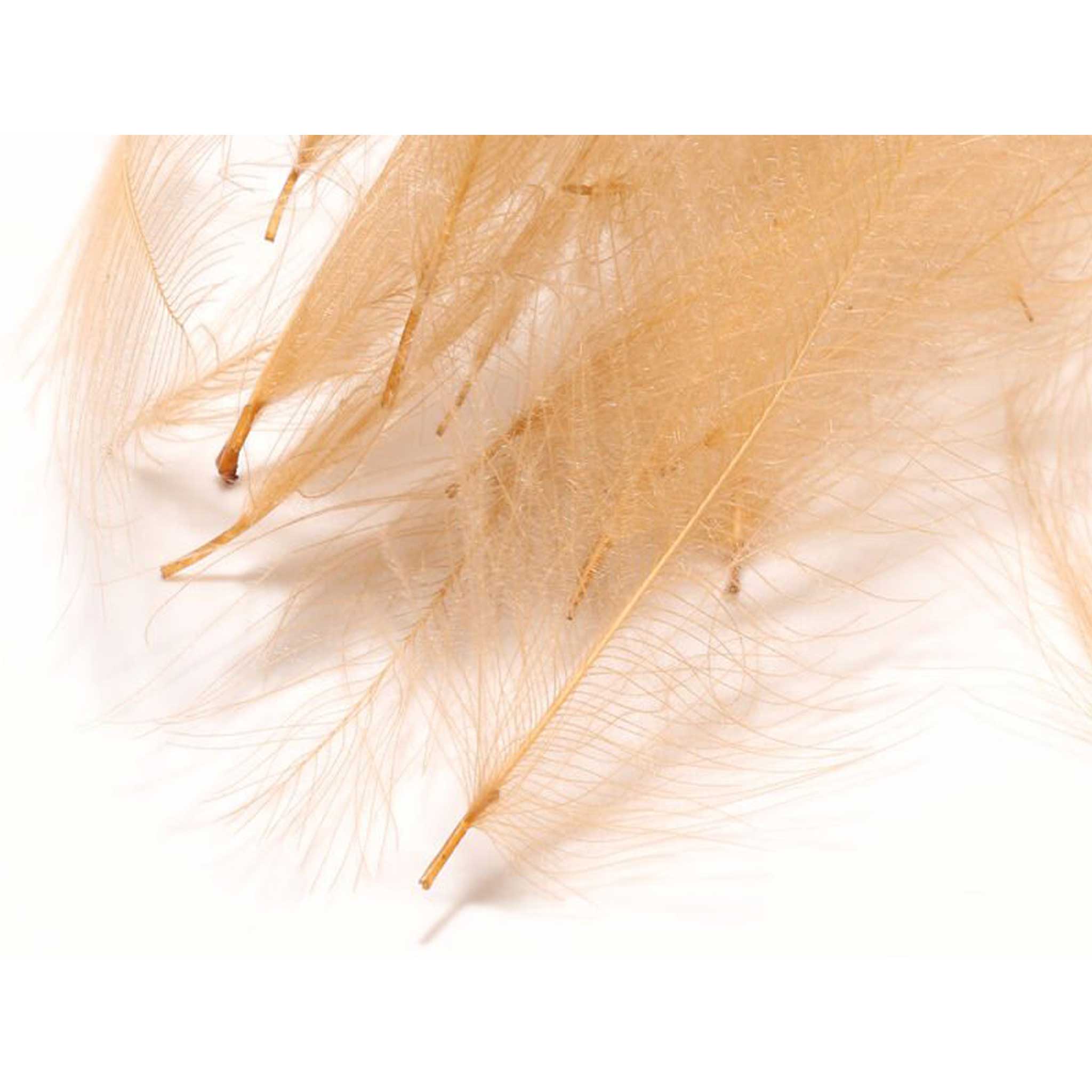 Hareline CDC - Image 4