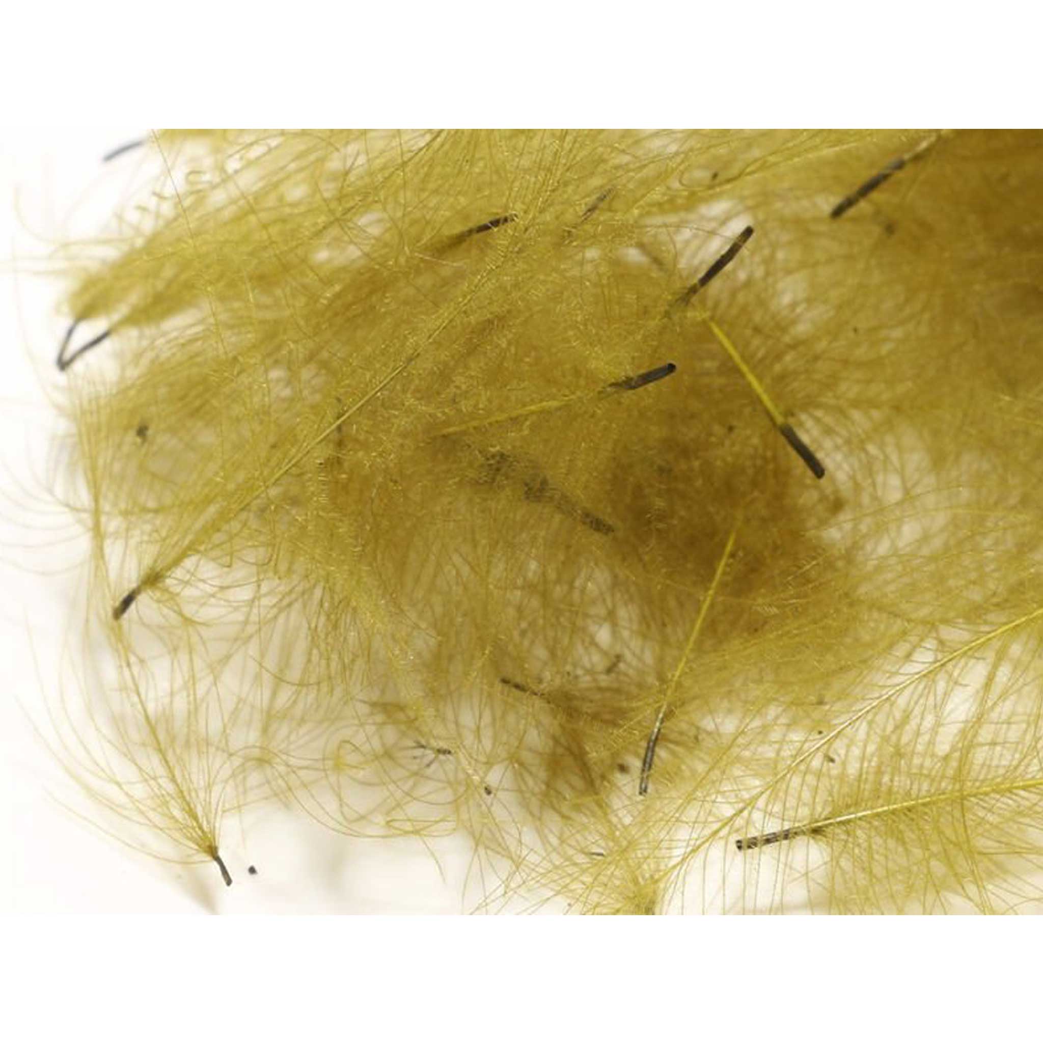 Hareline CDC - Image 5